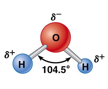 bioelectronique eau molécule polaire