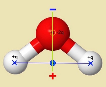 bioélectrique eau molécule polarisée